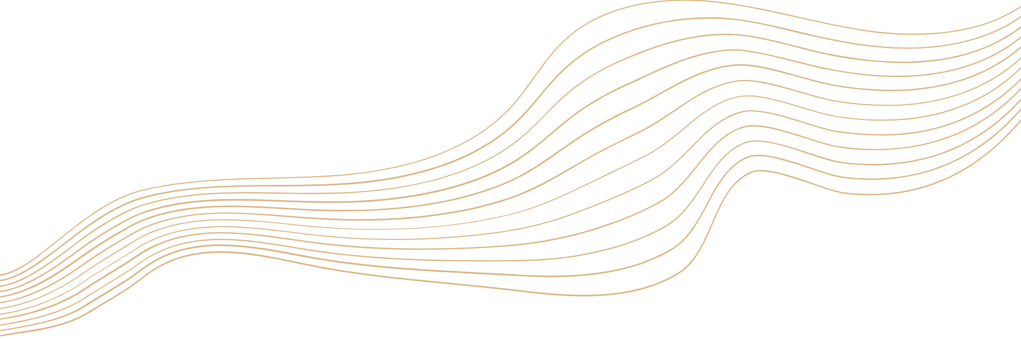 Black background with cream-colored, flowing, wavy lines