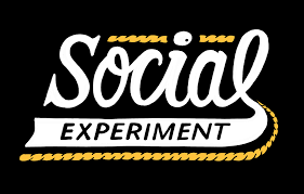 SOX-back logo.png