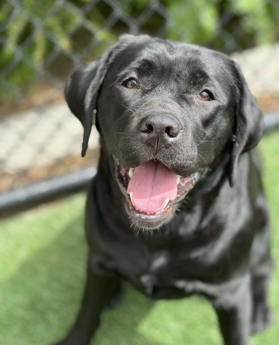 Screenshot 2023-05-10 at 12.31.26 PM.png