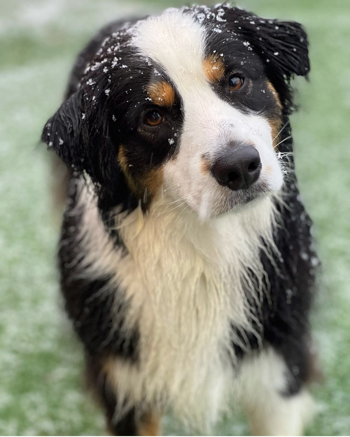 Screenshot 2023-05-10 at 12.30.07 PM.png