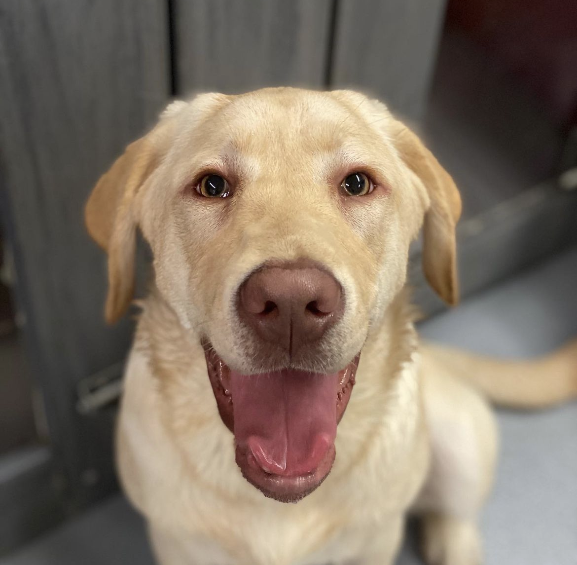 Screenshot 2023-05-10 at 12.33.45 PM.png