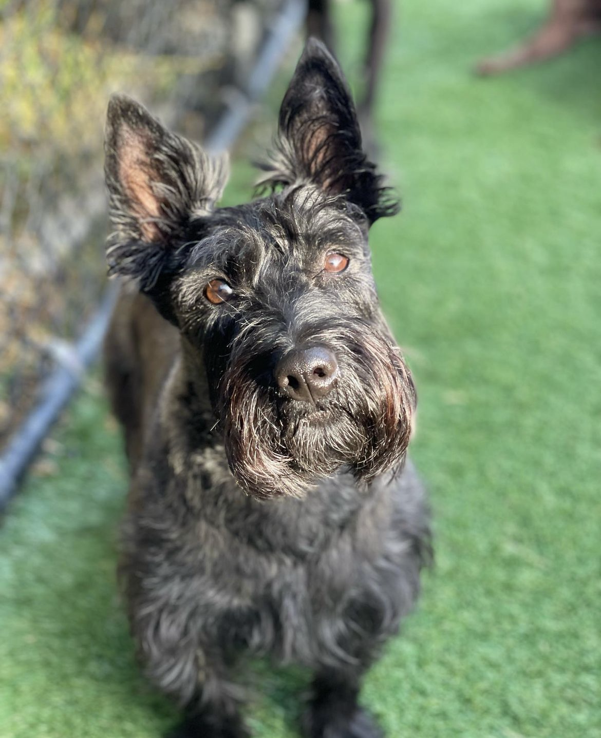 Screenshot 2023-05-10 at 12.32.04 PM.png