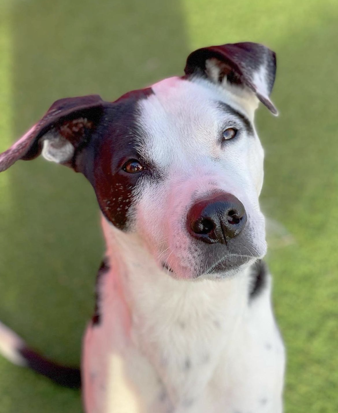 Screenshot 2023-05-10 at 12.32.28 PM.png