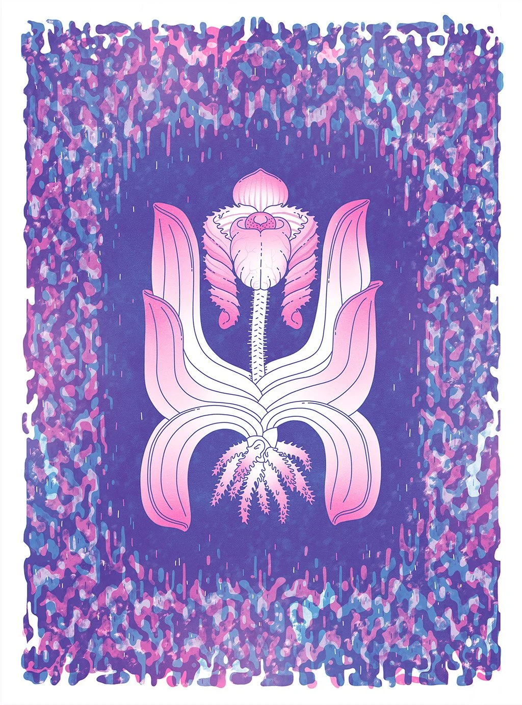 JennyBrewer_Orchid002c_Final_1024px.jpg
