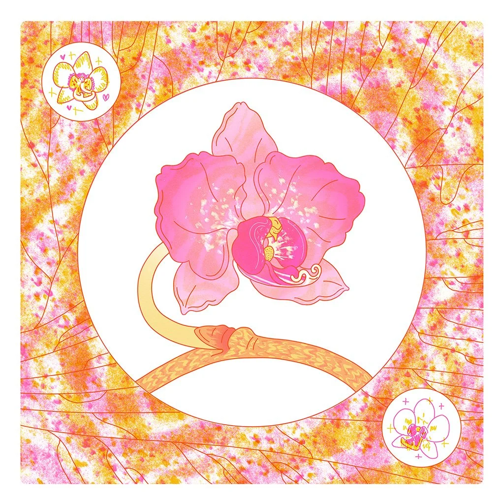 JennyBrewer_Orchid_007c_1024px.jpg