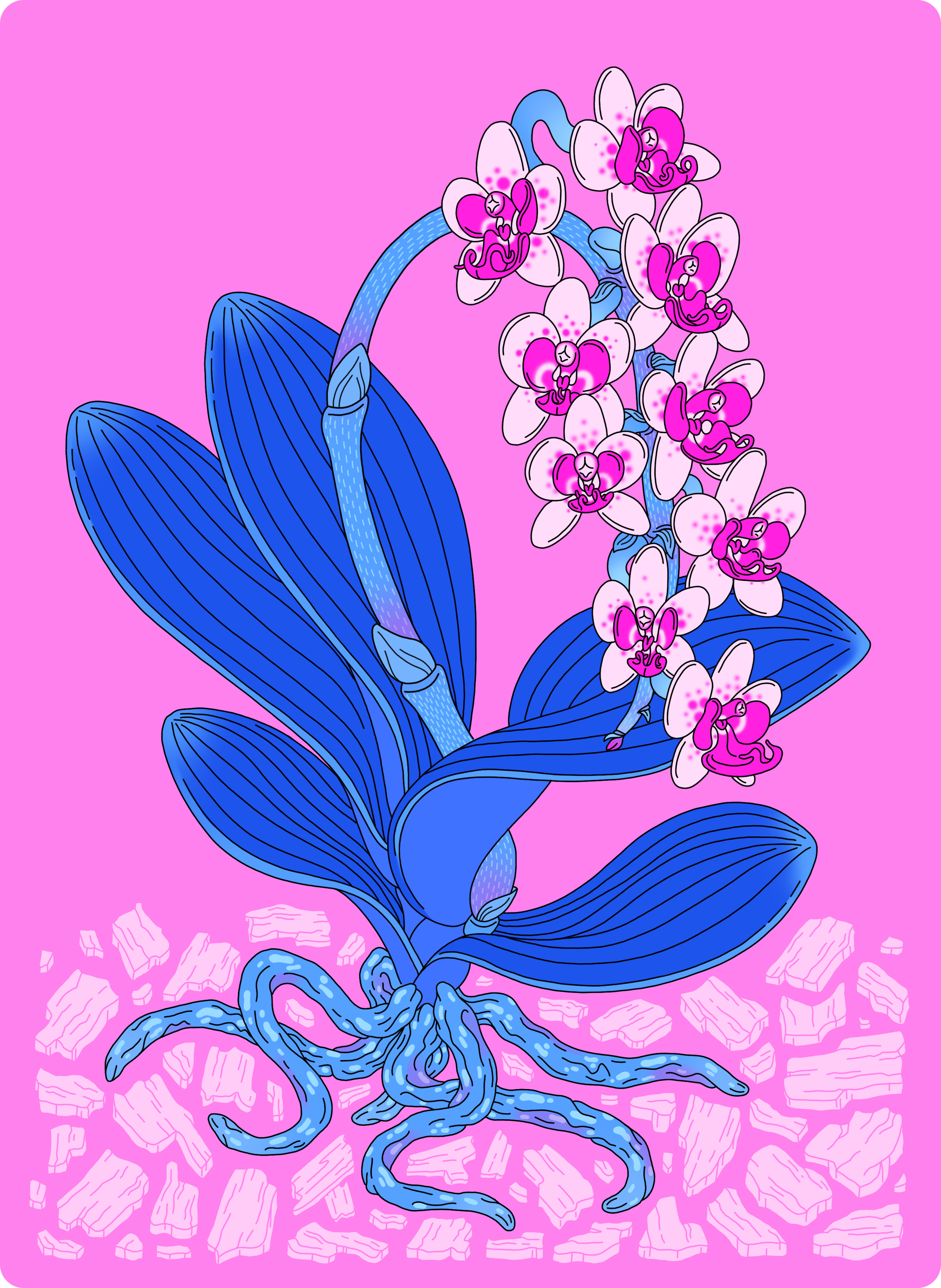 orchid3_Color_Final_v002_Website.png