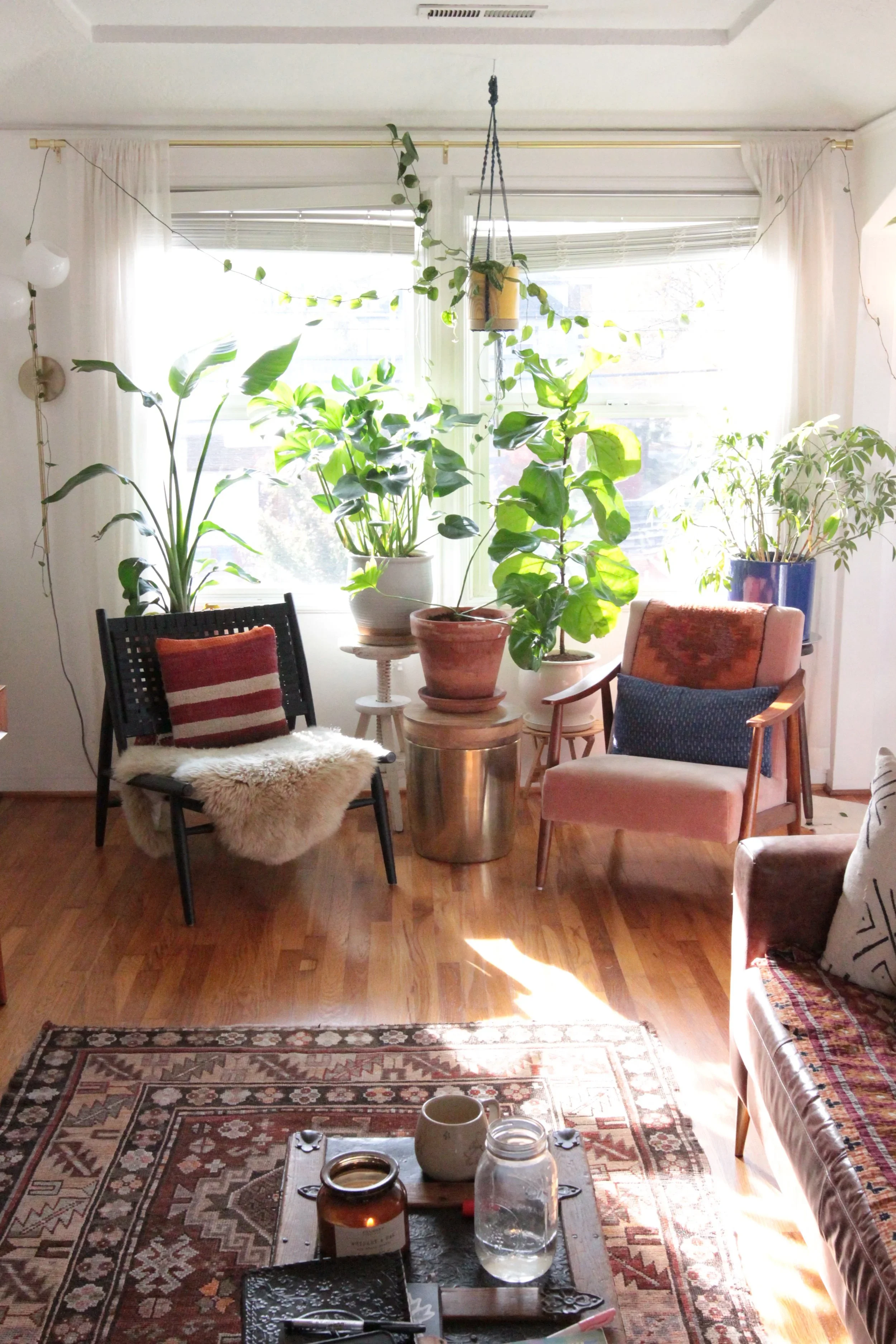 A cozy living room with sunlight coming through the window, decorated with potted plants, a pink armchair, a black chair with a striped cushion, a sofa with patterned pillows, a patterned area rug, and a coffee table with candles and jars.