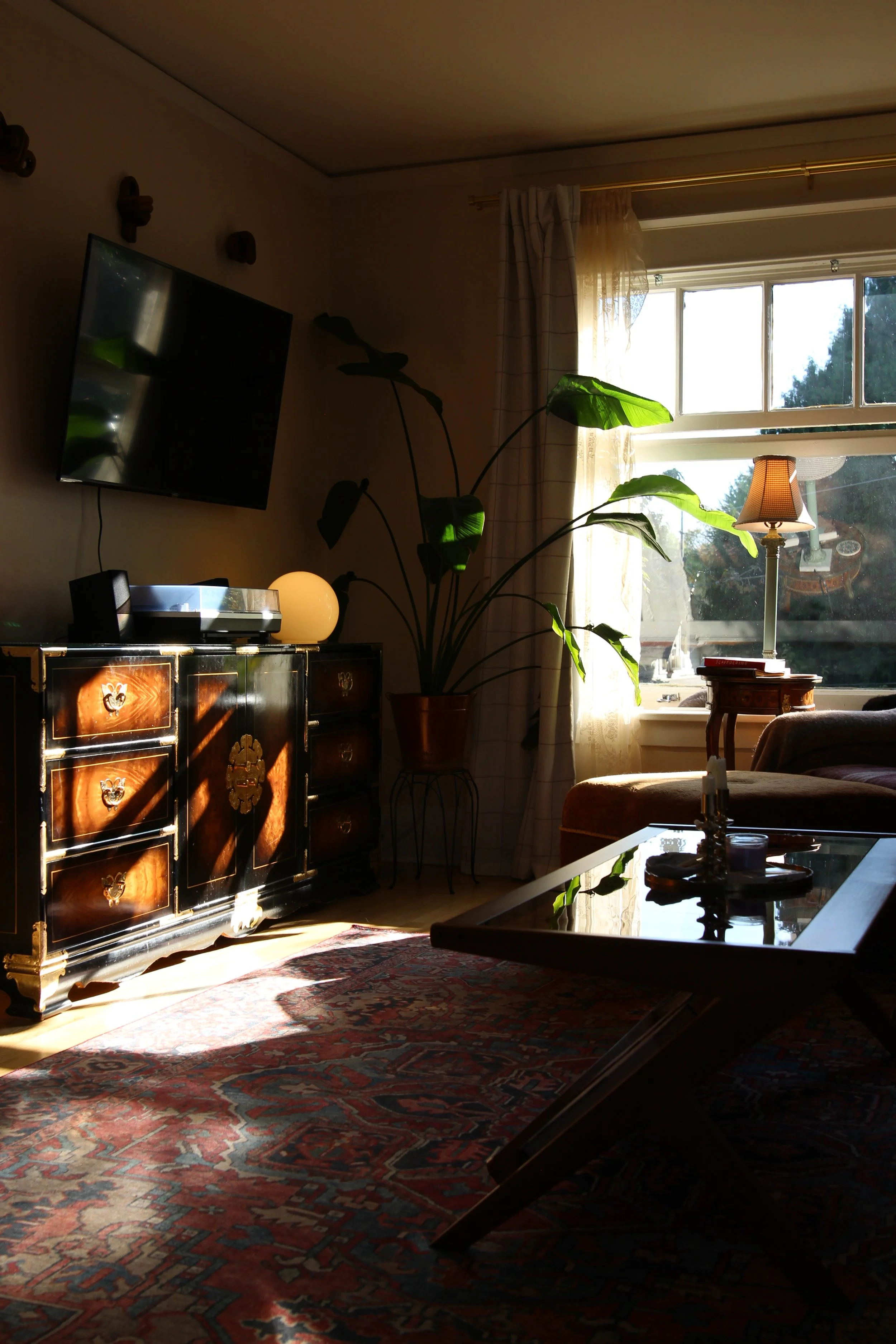 Living room with a coffee table, a large potted plant, a television on the wall, a sideboard with a lamp and stereo, a window with curtains, a table lamp, and sunlight streaming in.