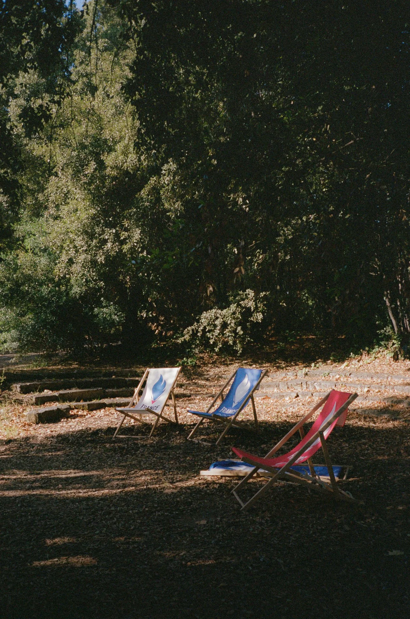 Film_35mm_Michael_Dawson_2023-16.jpg