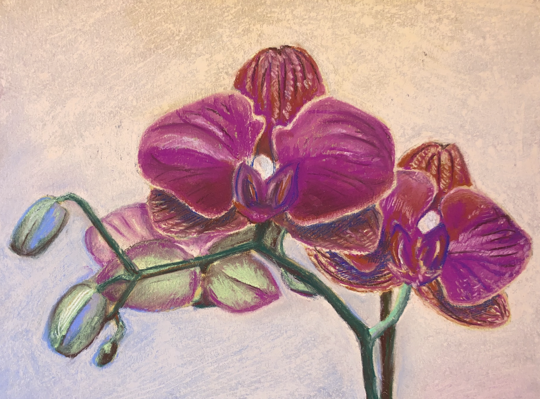 Orchids.png
