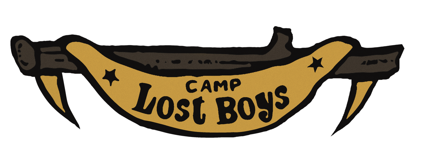 Camp Lost Boys