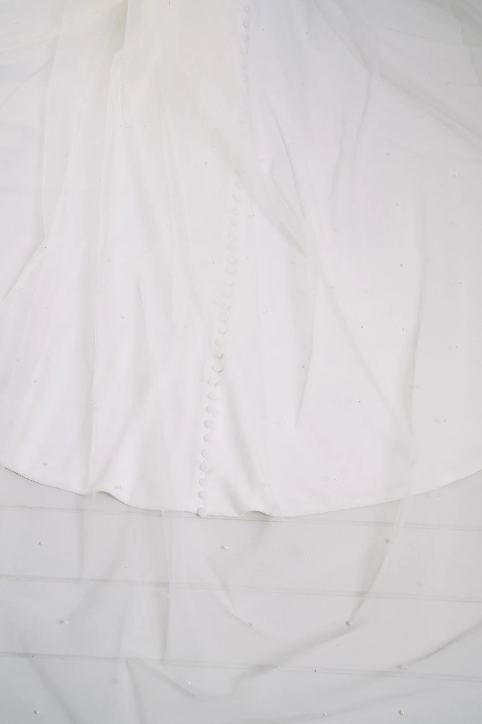 AN7001-P Brides_by_Mancini_Veils_Clr_Low-155.jpg