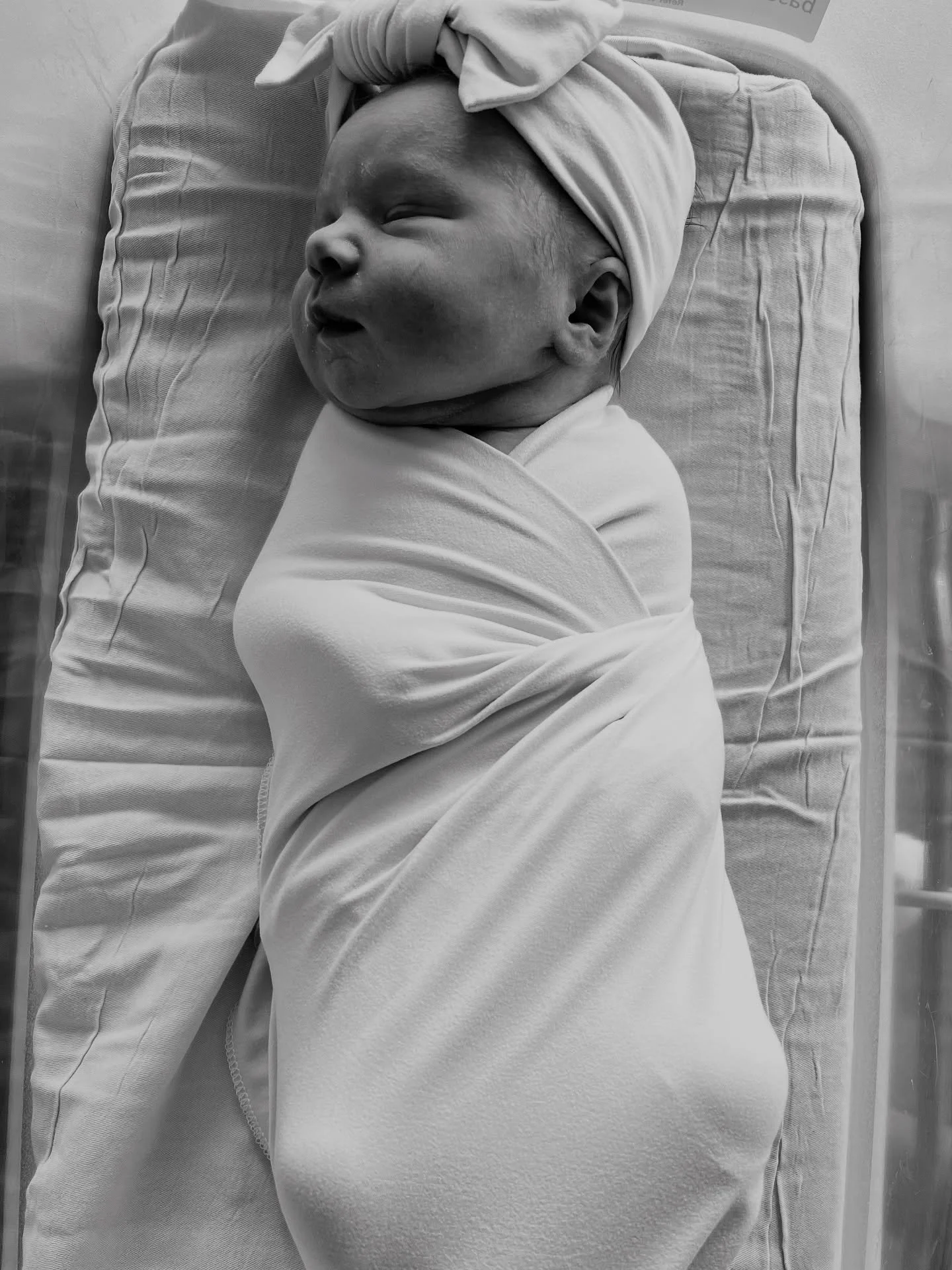 ✨New Team Member Alert✨

We&rsquo;ve added a new (and very cute) member to our team, Andie Elizabeth 🤍