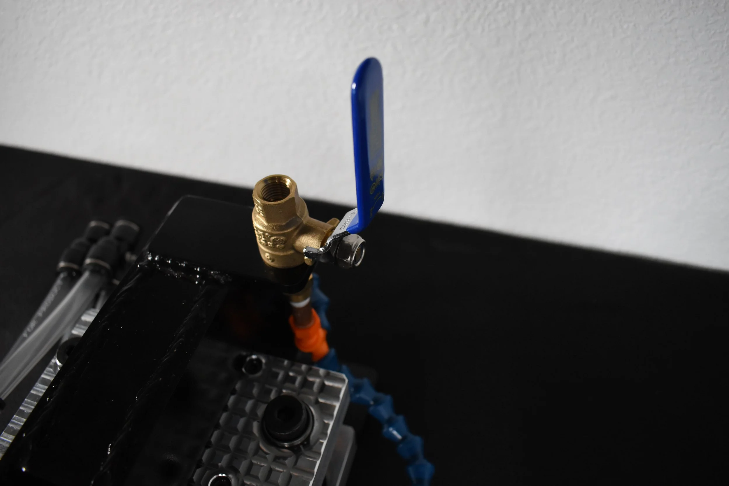 DSC_0292.JPG