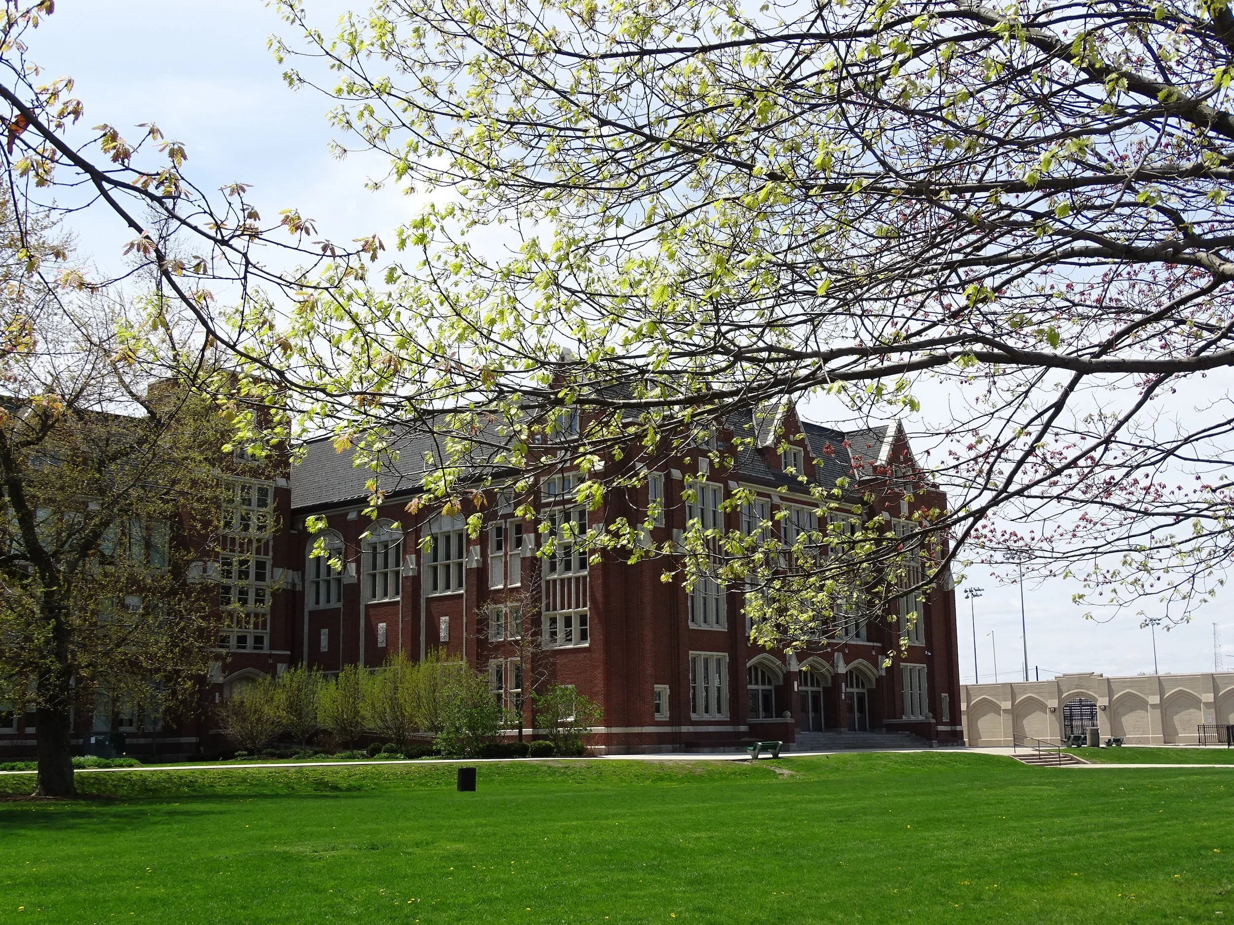 Brick building with large windows surrounded by a grassy lawn and budding trees