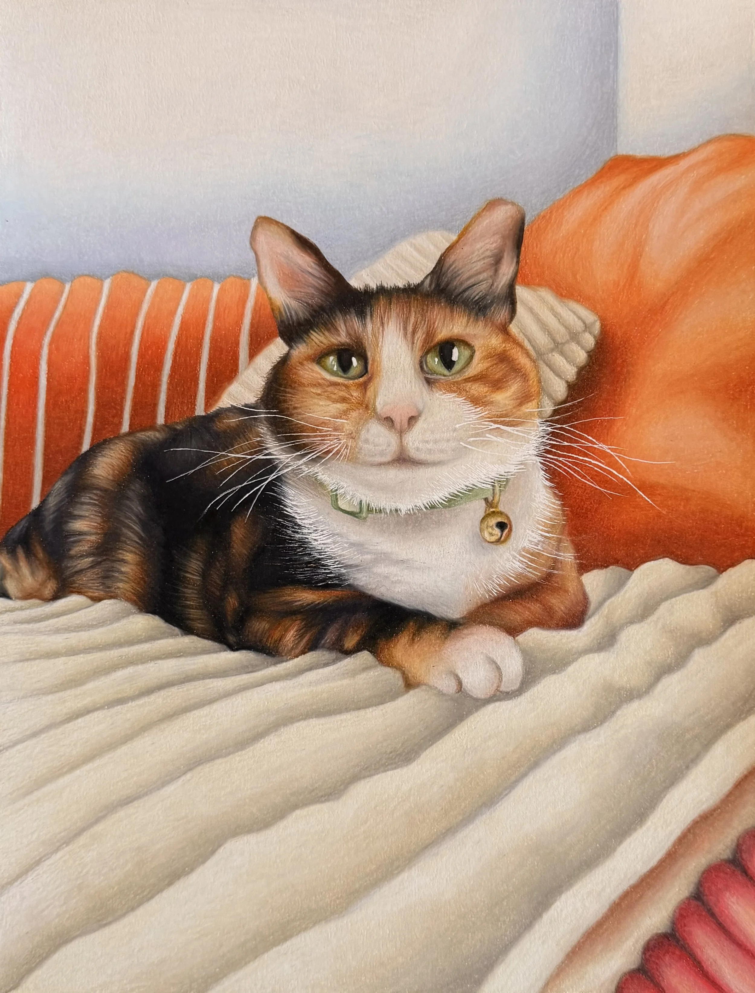 colored pencil on paper, 14" x 11"