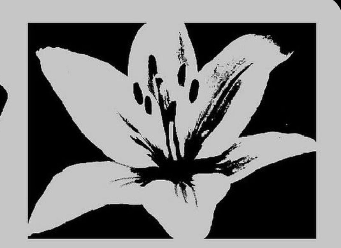 Reverie