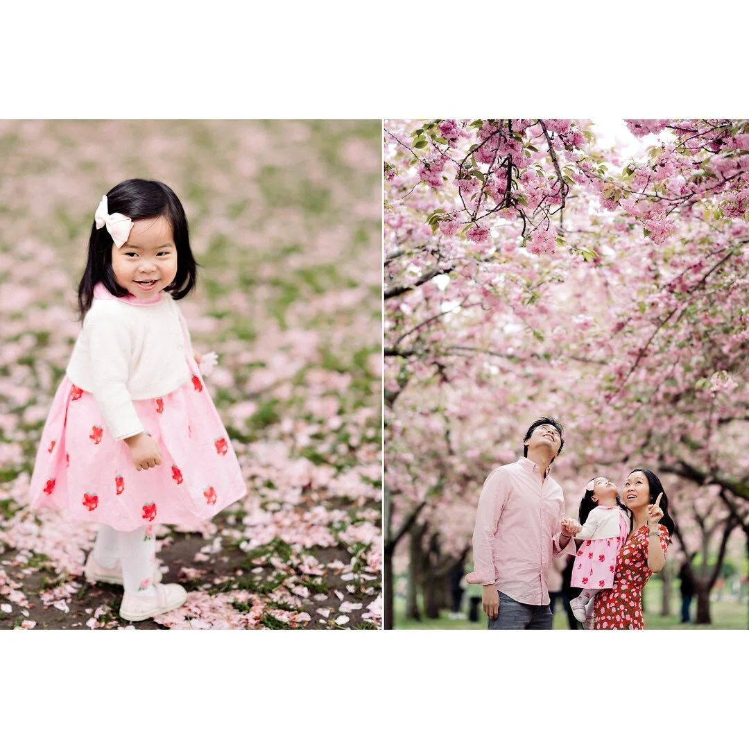🌸