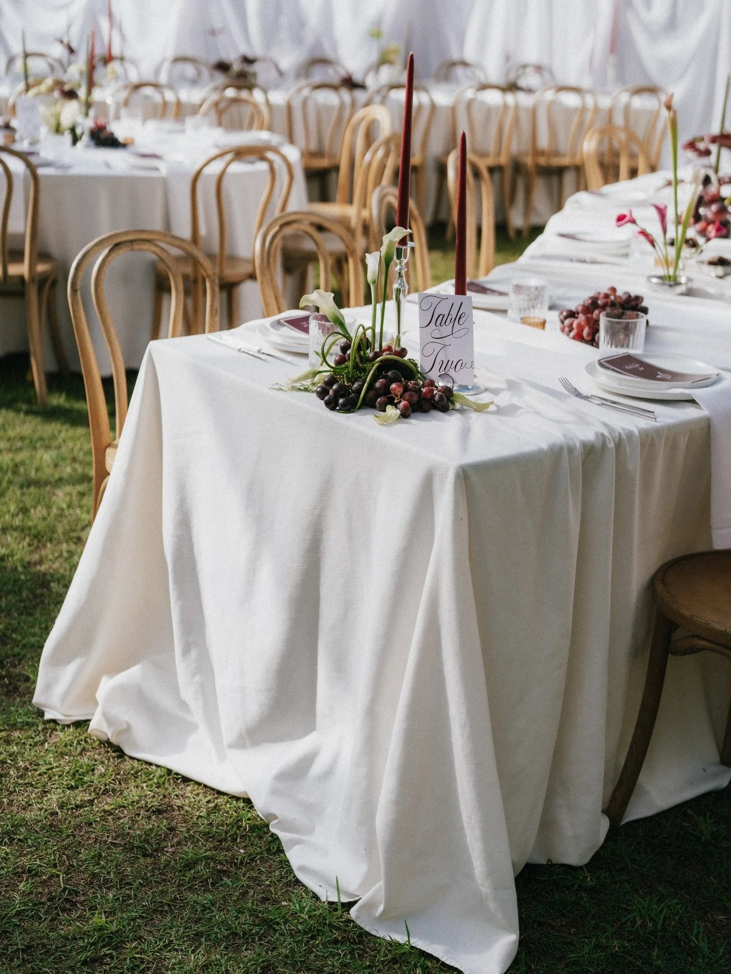 All the epic angles of Jade and Mikayla&rsquo;s reception 🥀🤍

Lovers @jadekatz_ + @mikaylacongram 
Planners @honeyeventsperth 
Florals @sonny_and_willow 
Photography @eeriksandstrom 
Videography @myrfilms 
Venue @oldyoungsweddings 
Draping @special