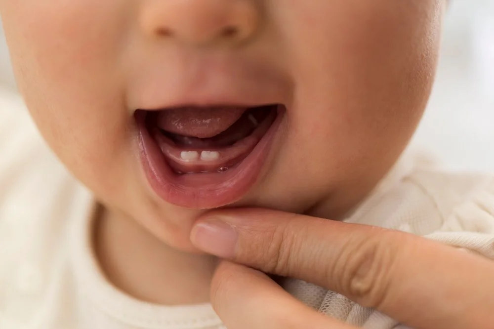 Close-up of a smiling baby with two lower front teeth just coming through