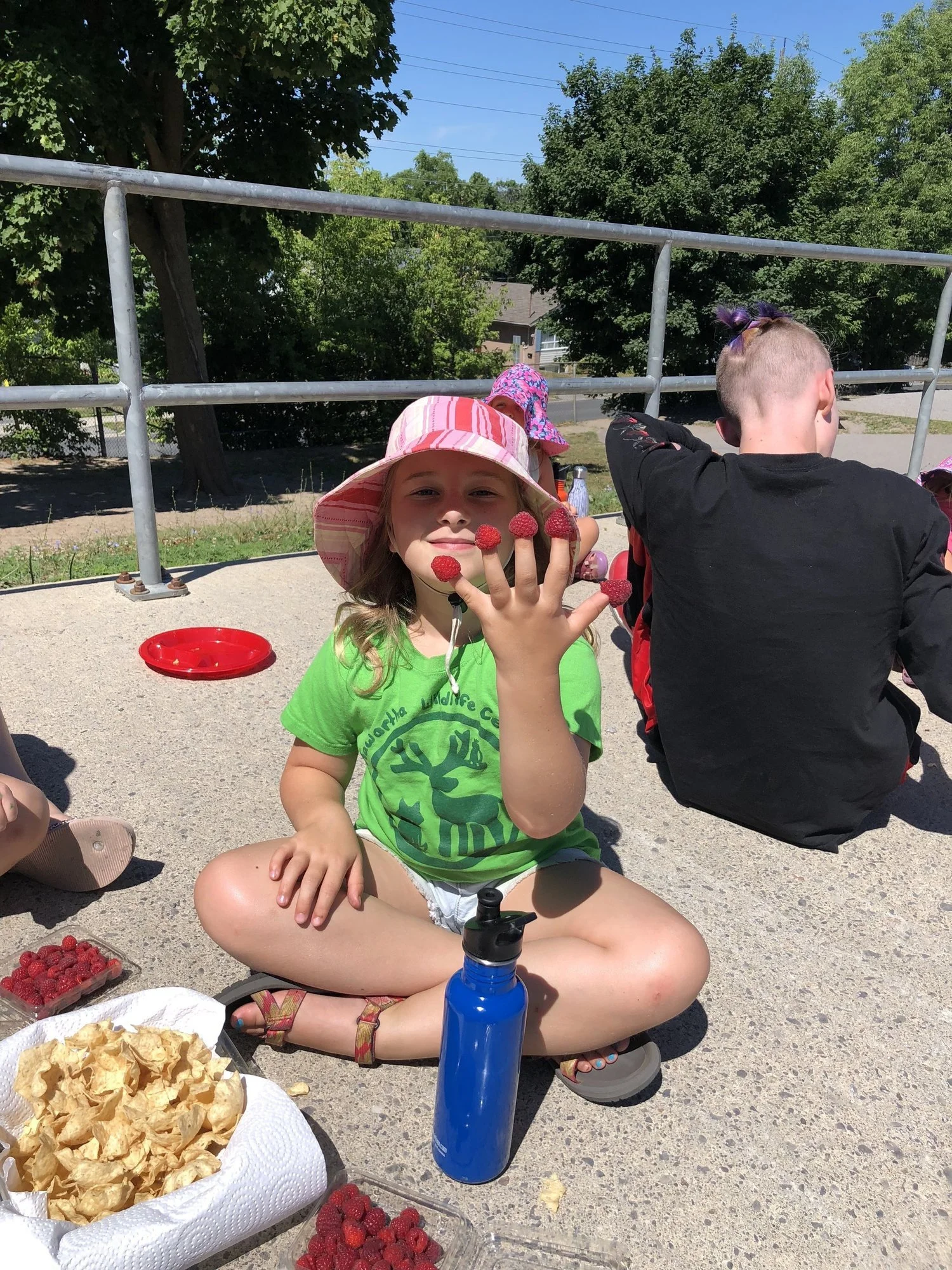 Child with raspberries on fingers