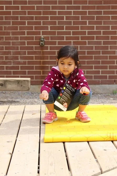 Finding Our Stability