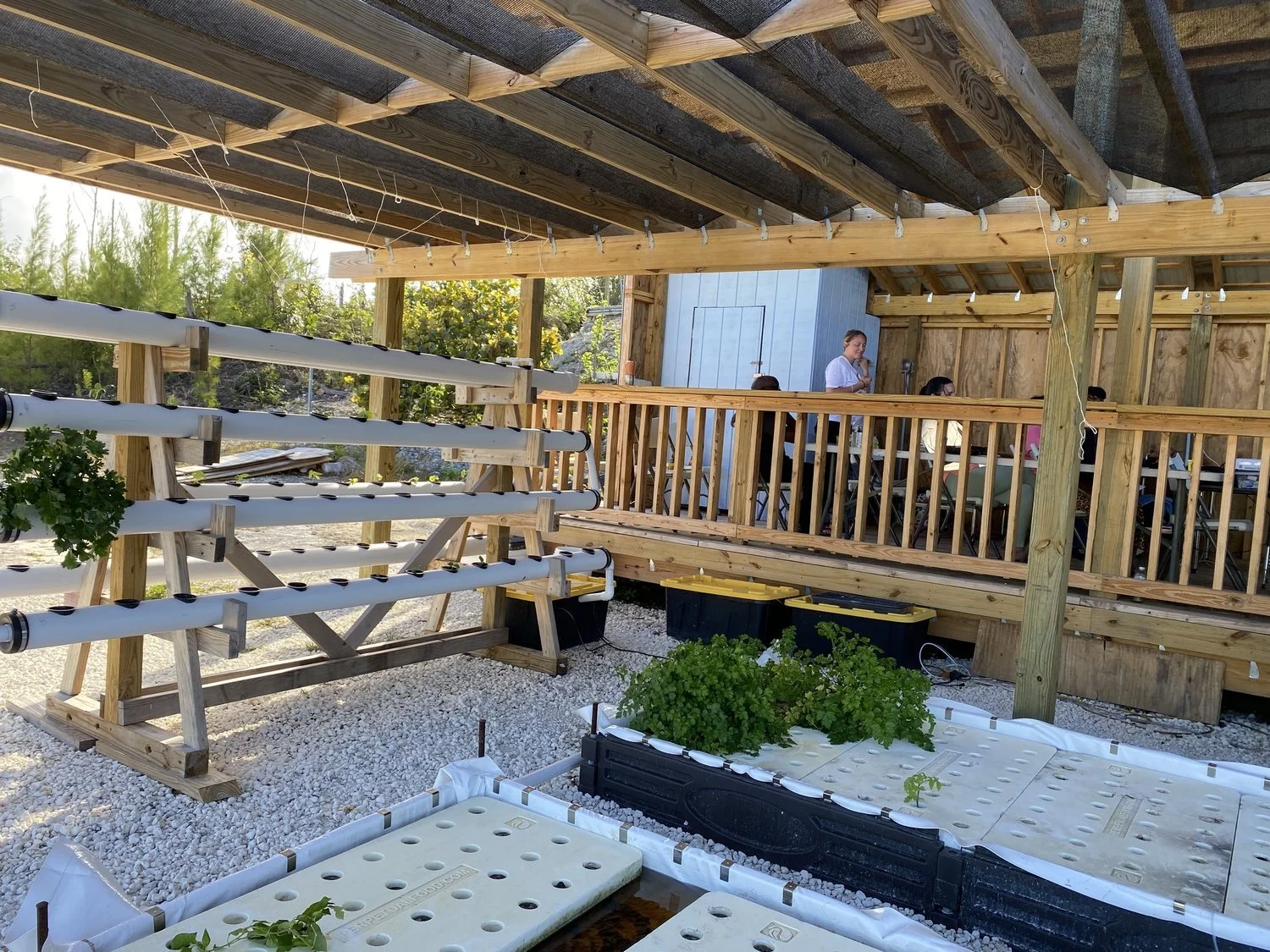 Hydroponic greenhouse setup with multiple levels of white pipes for plant growing, a sheltered area with a wooden deck, and people working inside.