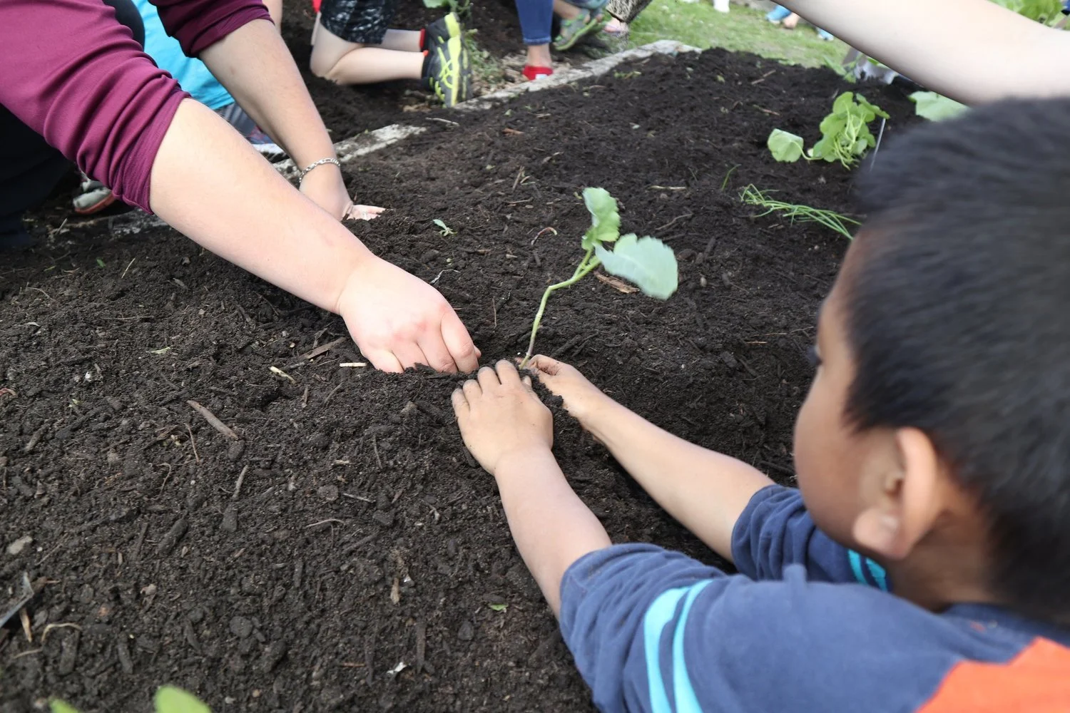 Planting in Community