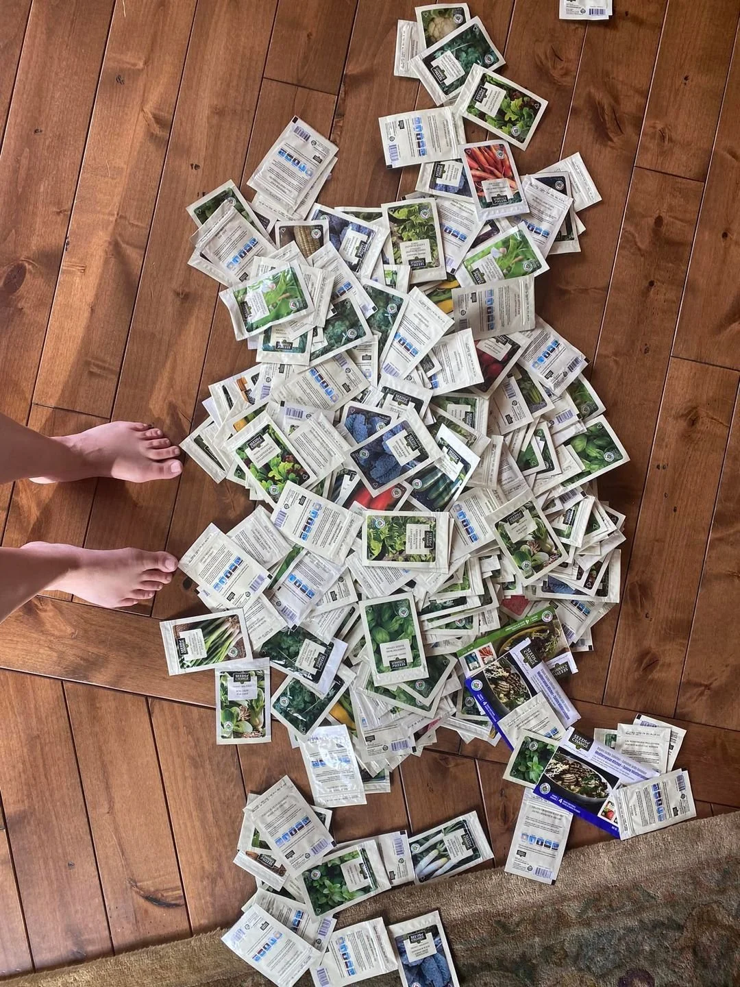 Shipped 425 packages of organic seeds to Abaco.