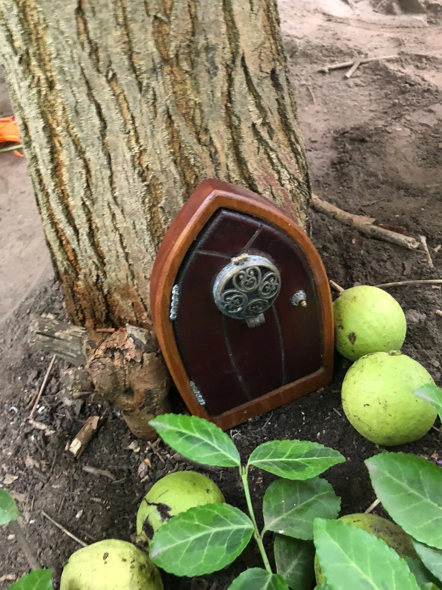 Our Mulberry Tree fairy forest.