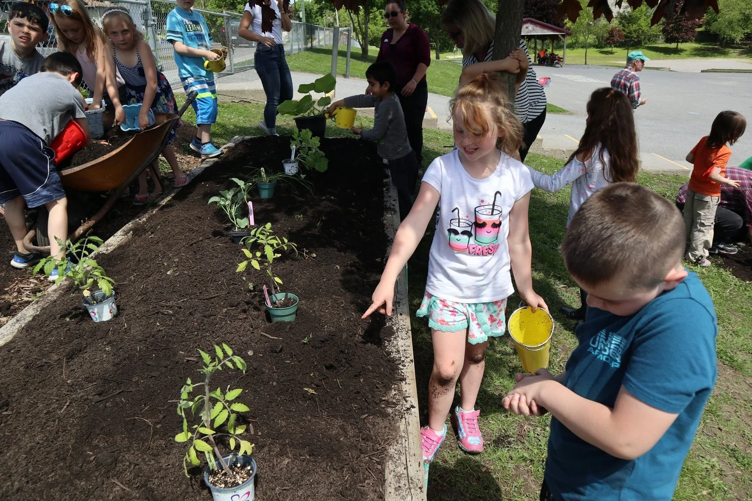 Armour Heights Garden