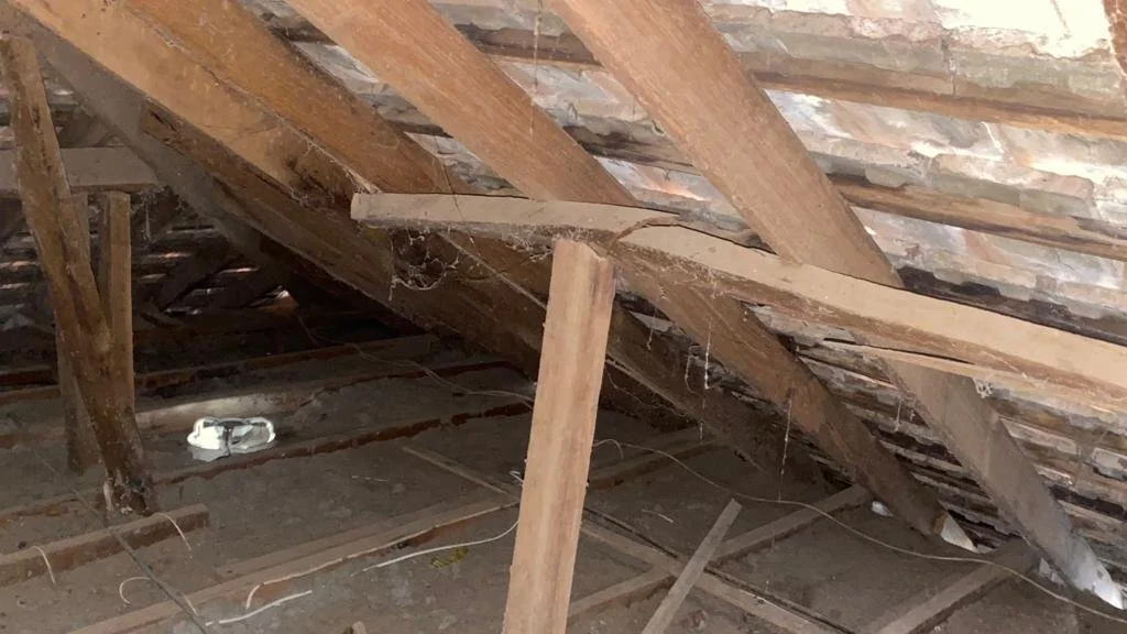 3 Reasons Why You Should Get A Building and Pest Inspection