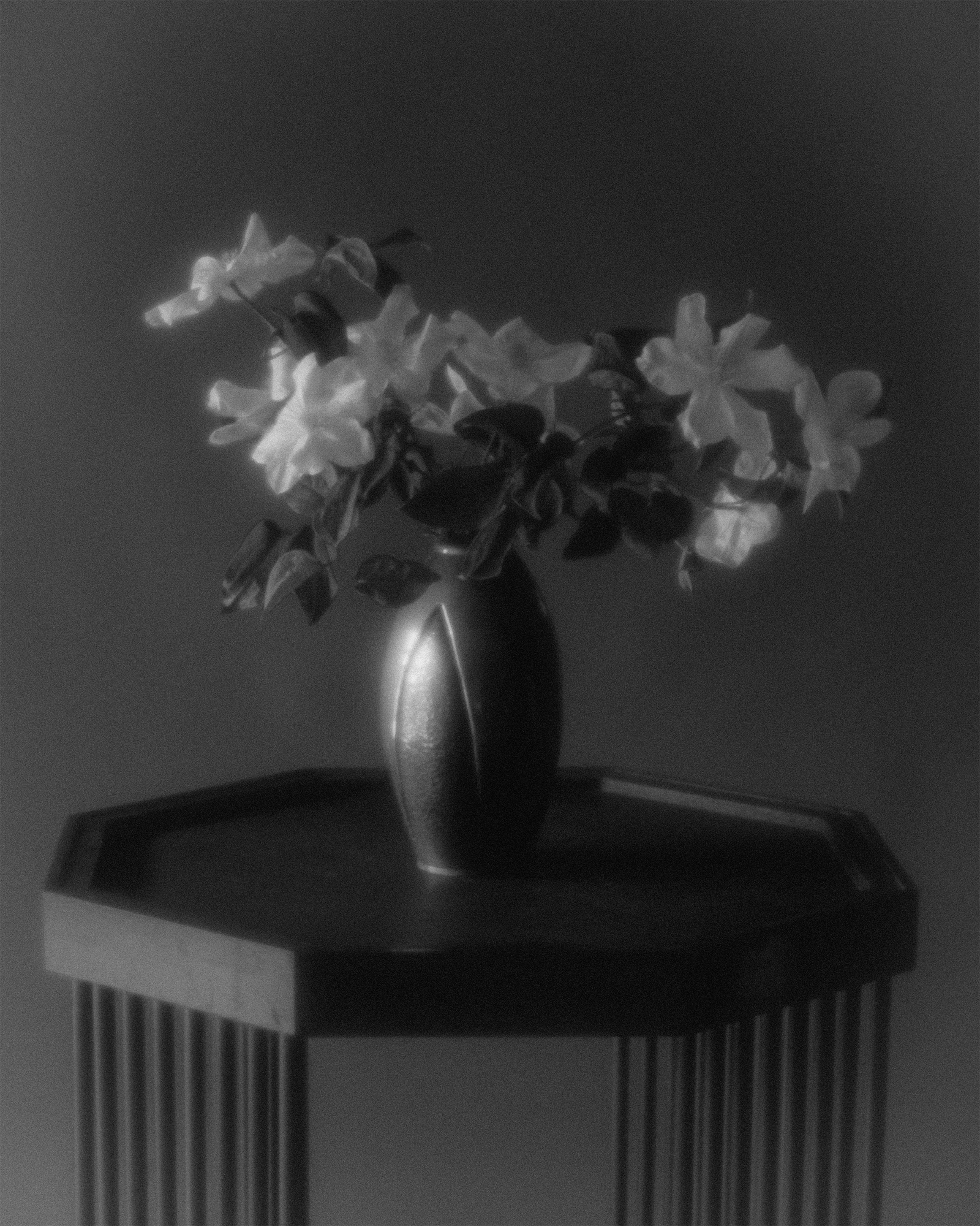 3R5A0015__GRADED copy.png