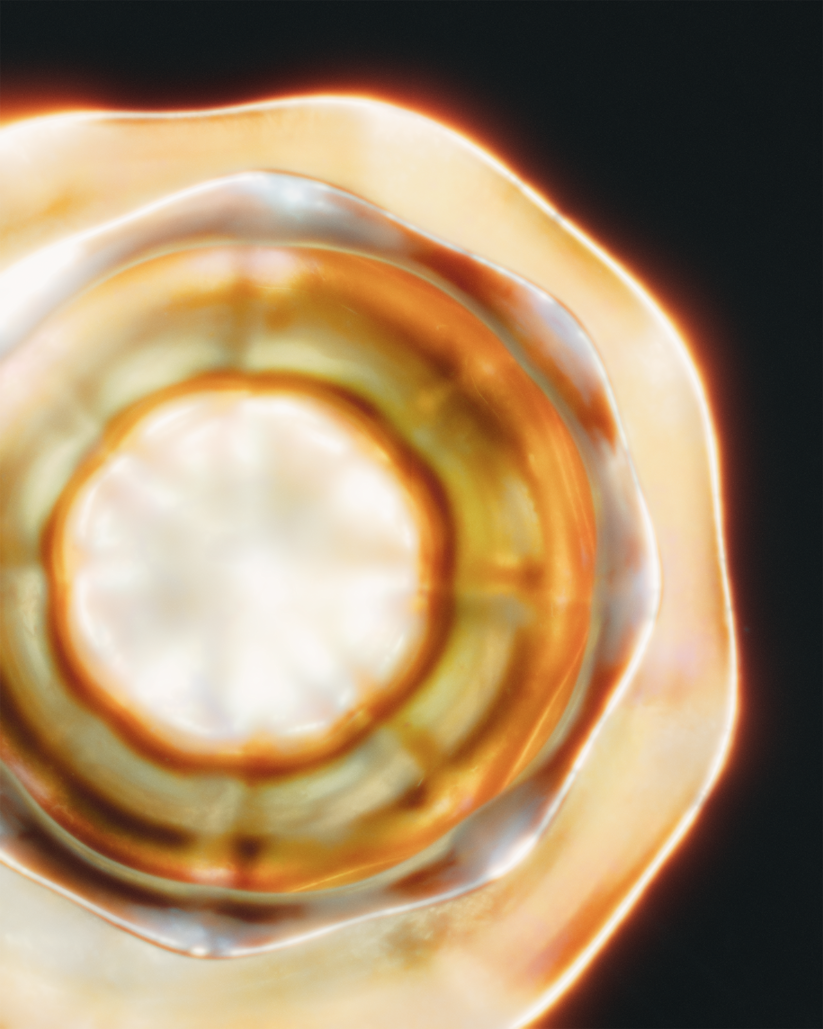 3R5A0323__GRADED copy.png