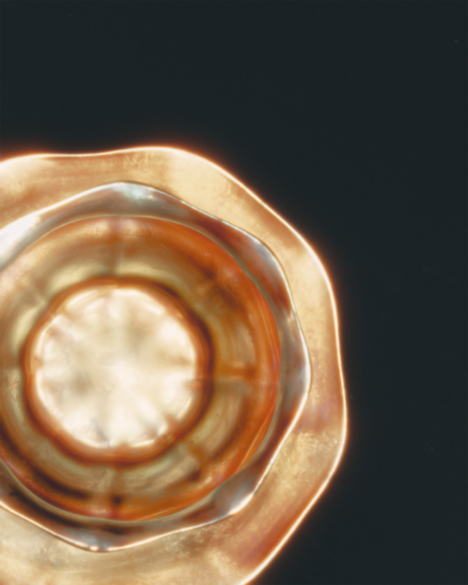 3R5A0323_GRADED.png