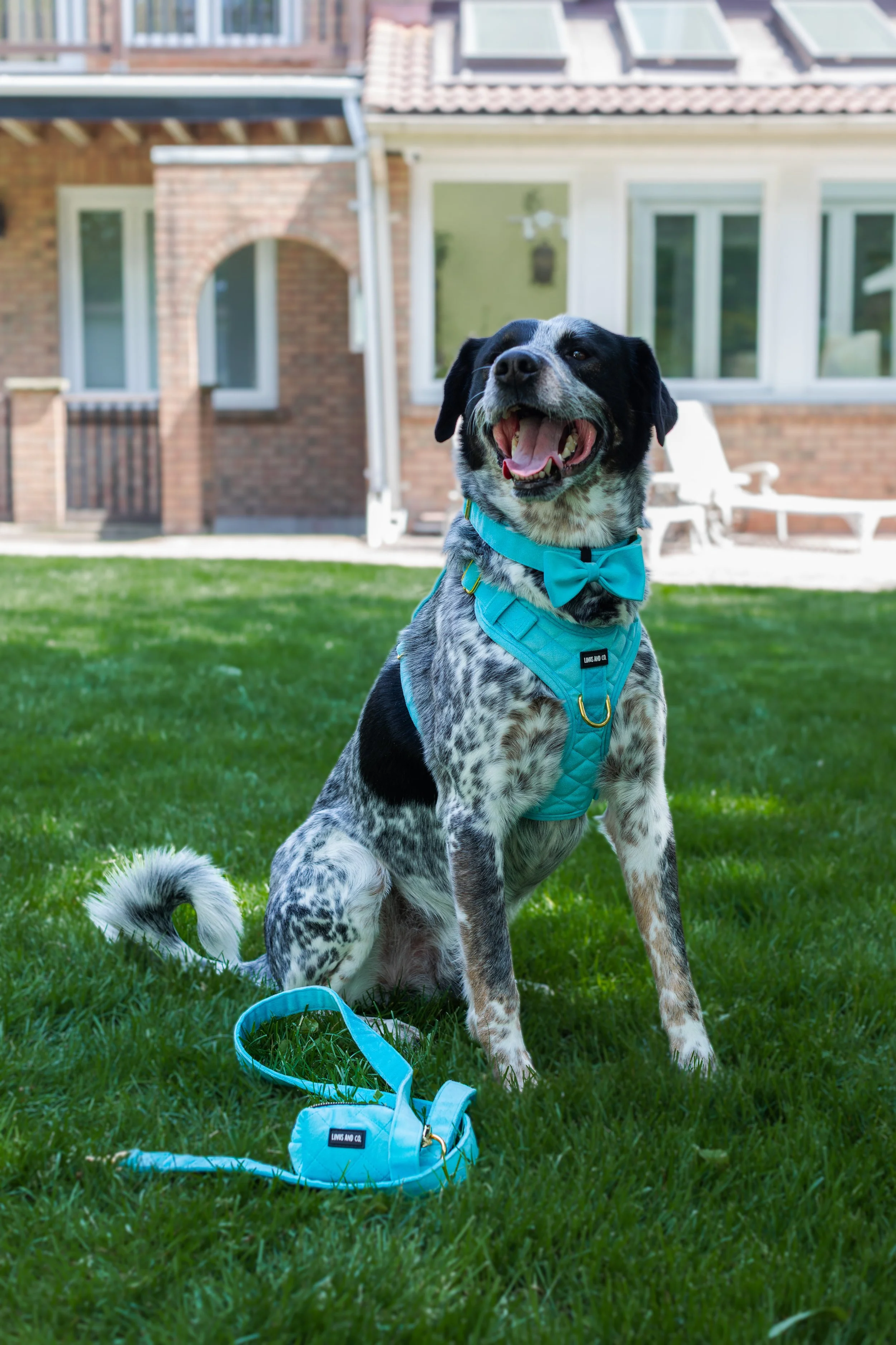 Linus & Co - Photos (29 of 30).jpg