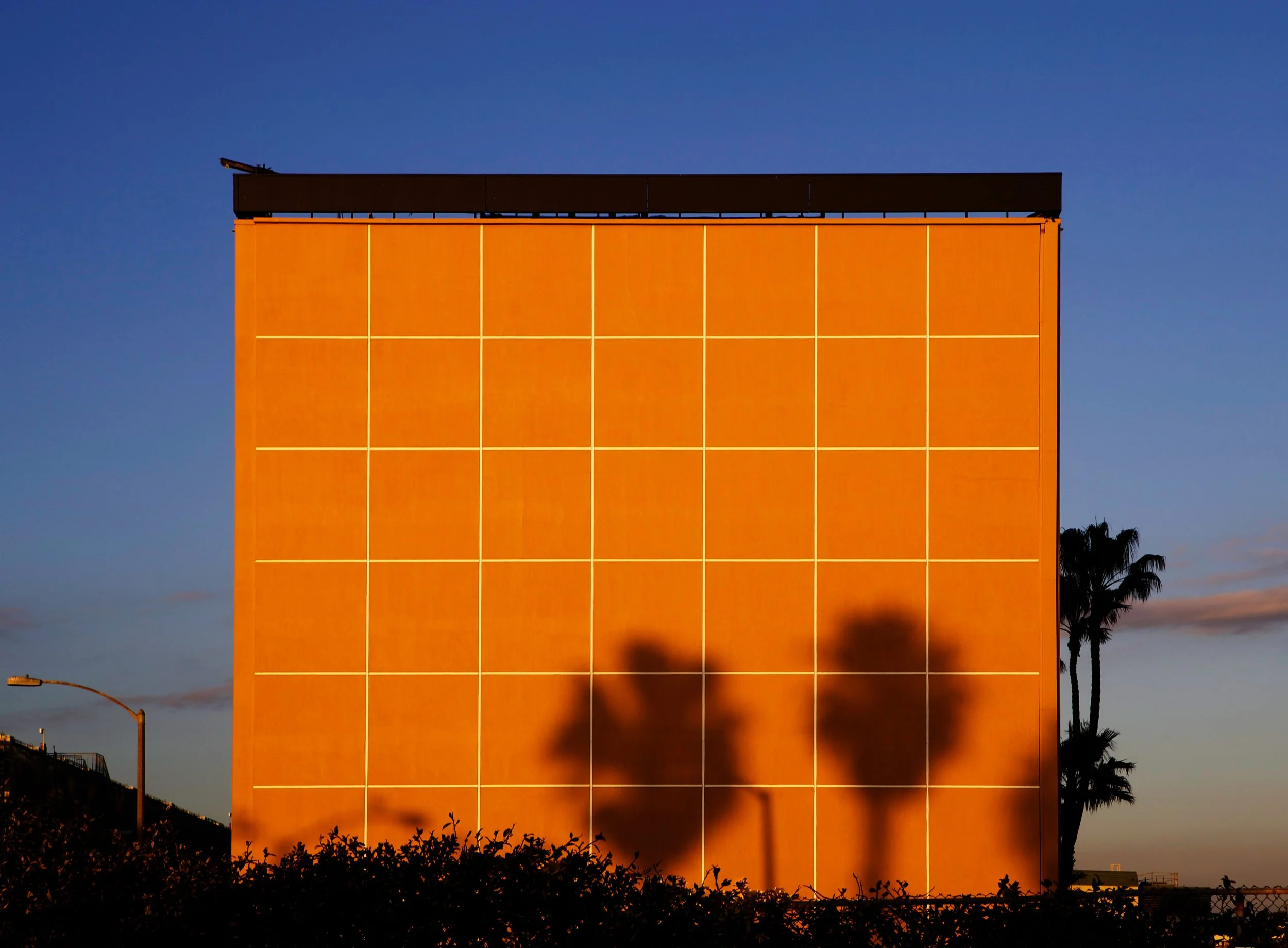 Lookbook - Santa Monica - Palm Tree Shadow on Wall -.jpg