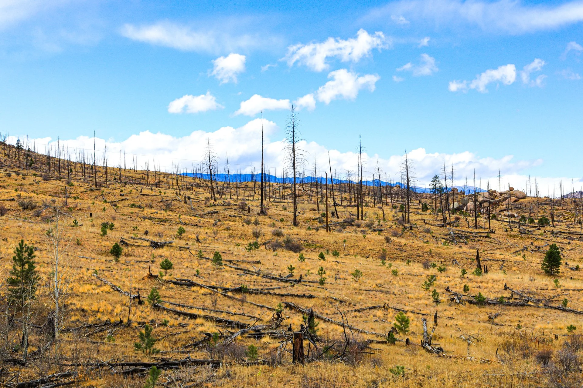 photography-burnt-landscape-colorado-2021-donnydebruno.jpg-2.jpg