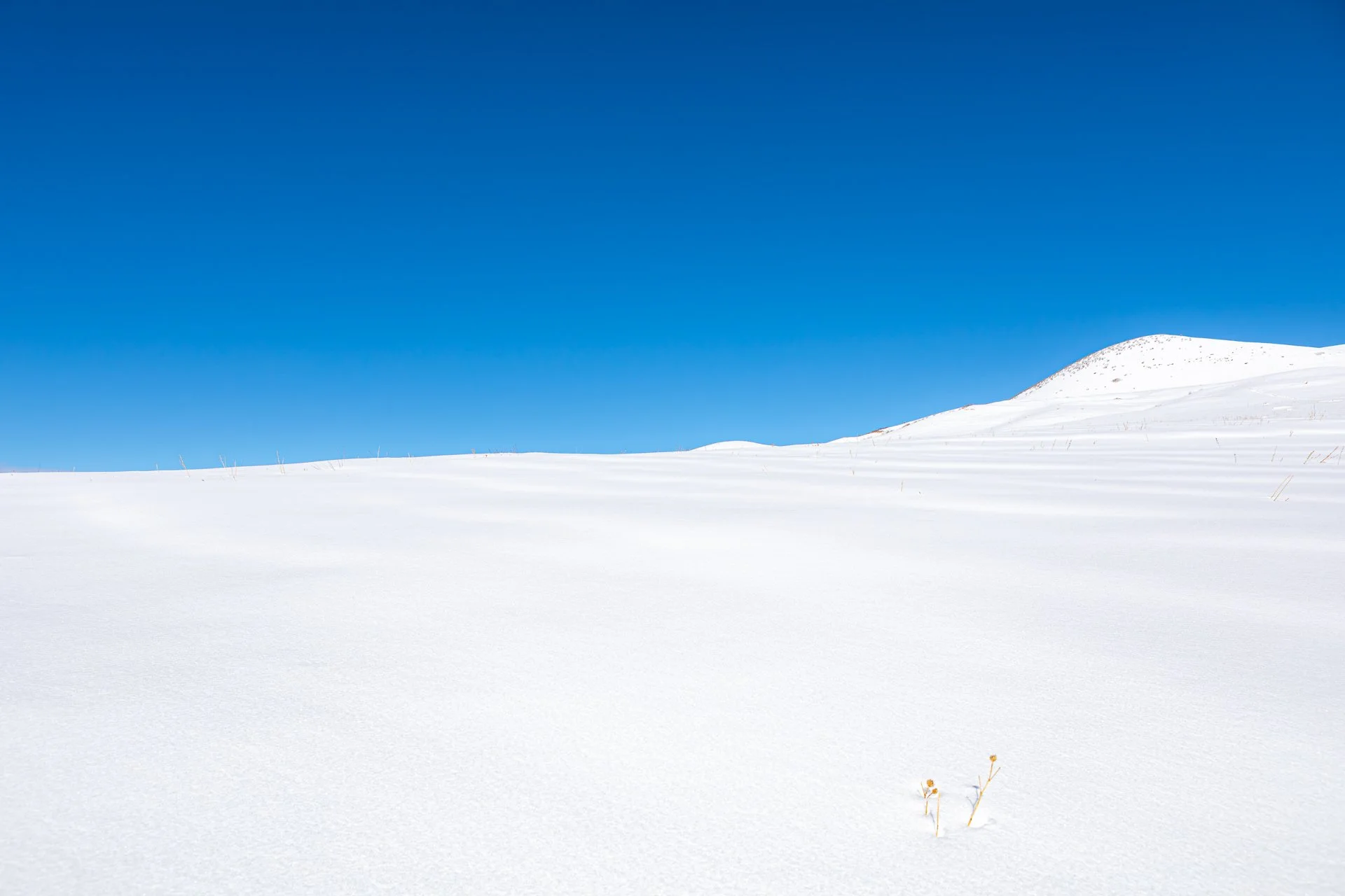 photography-green-mountain-snow-bluebird-colorado-2020-donnydebruno.jpg--.jpg