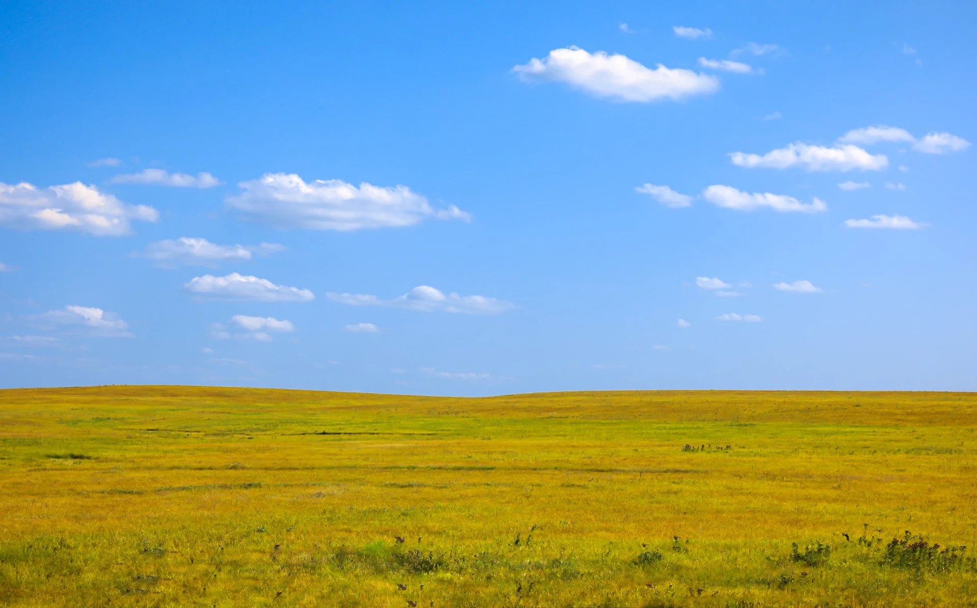 photography-kansas-field-clouds-2024-donnydebruno.jpg-7631.jpg