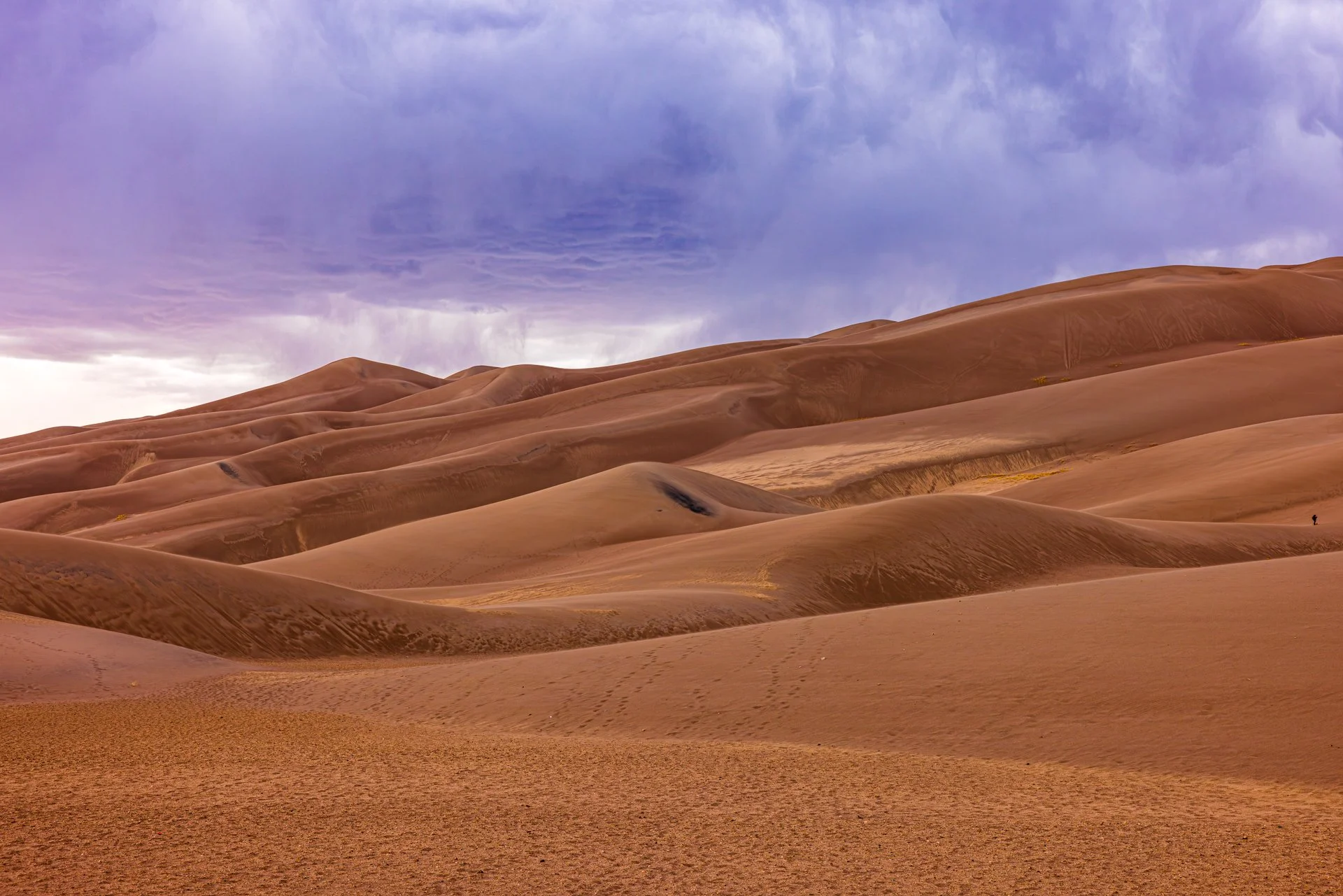photography-purple-sand-dune-colorado-2024-donnydebruno.jpg-.jpg