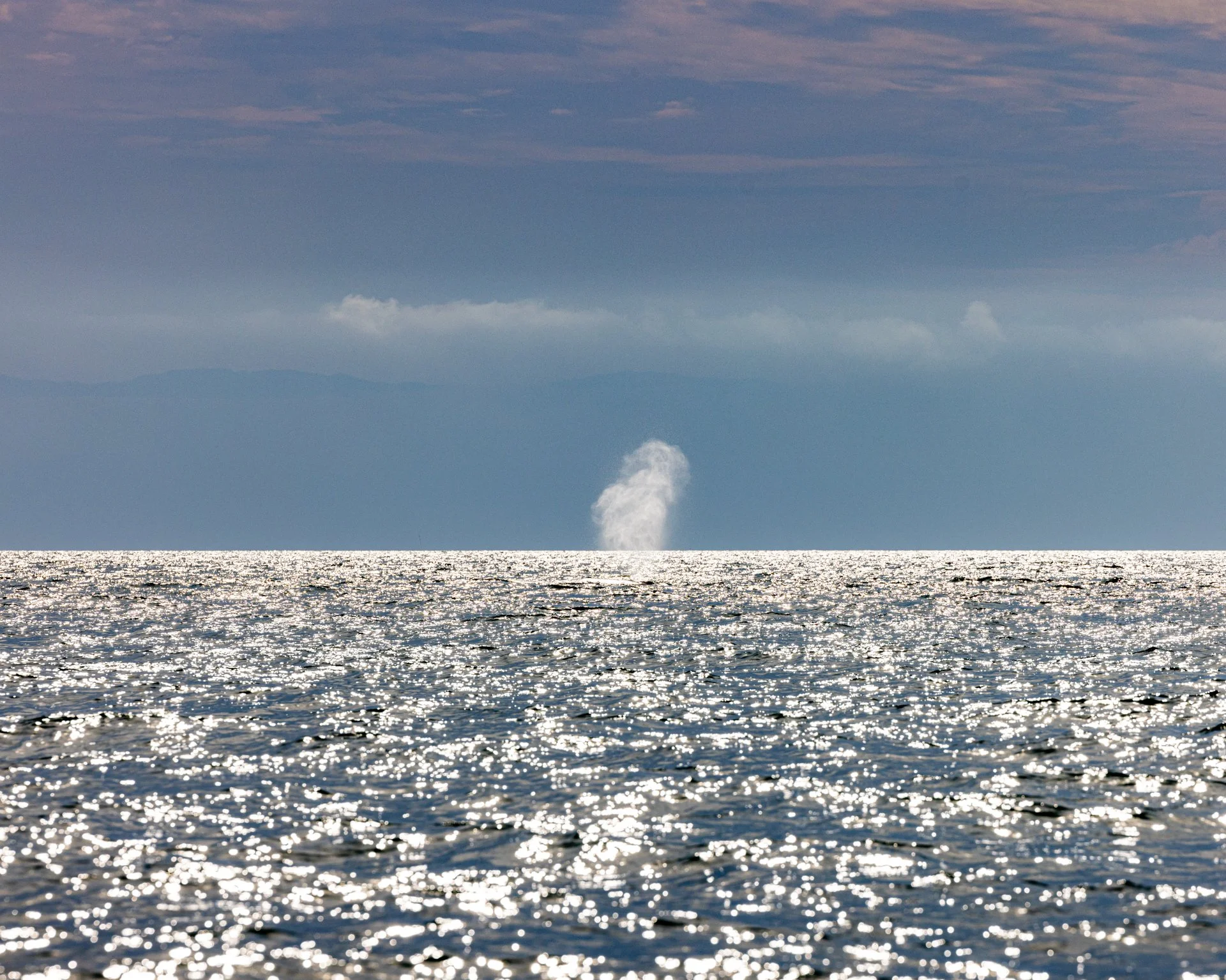 photography-whale-spray-sayulita-mexico-2025-donnydebruno.jpg-8621.jpg