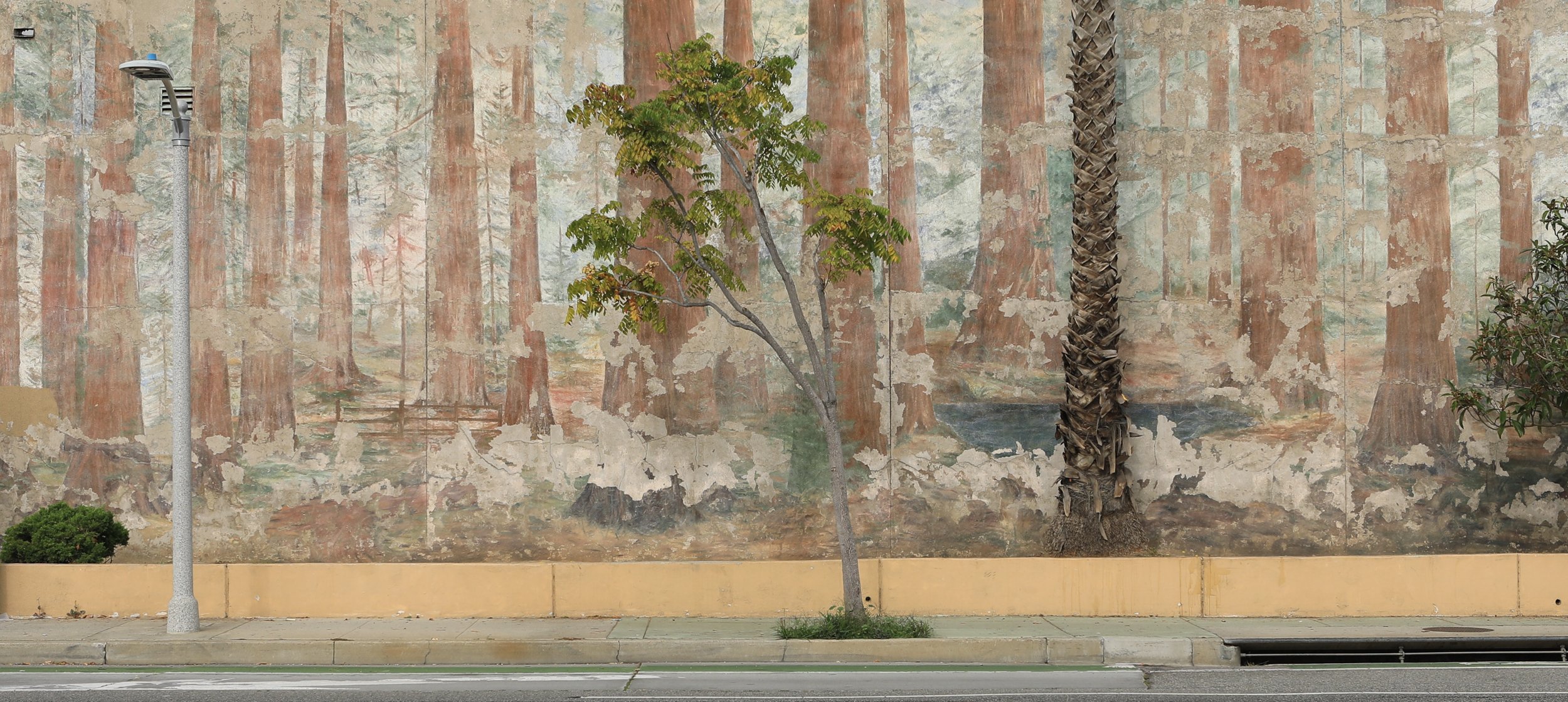 photography-tree-mural-vince-california-2021-donnydebruno.jpg-4199.jpg
