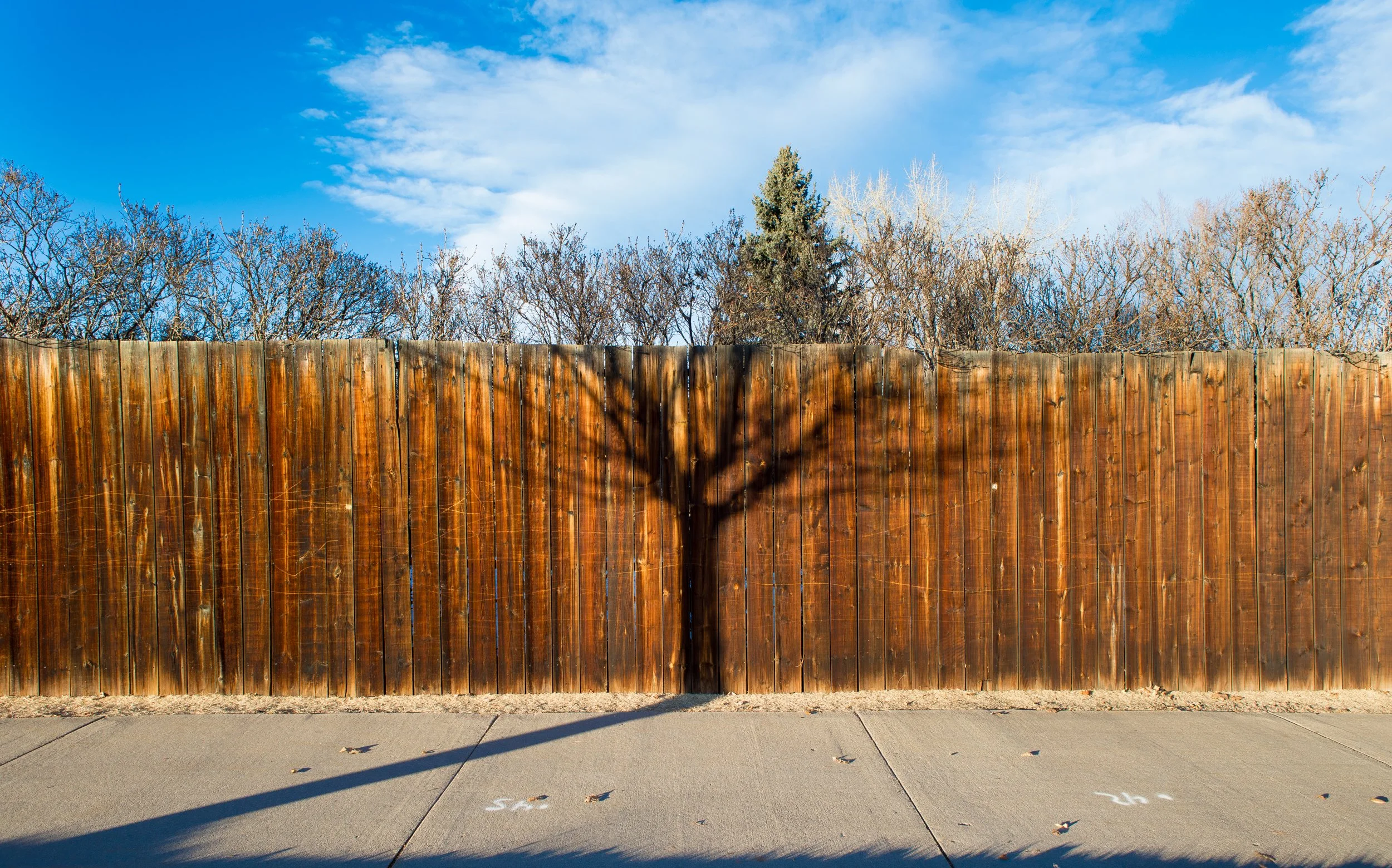 photography-tree-shadow-fence-littleton-colorado-2017-donnydebruno.jpg-2827.jpg
