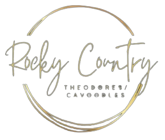 Rocky Country Theodores/Cavoodles
