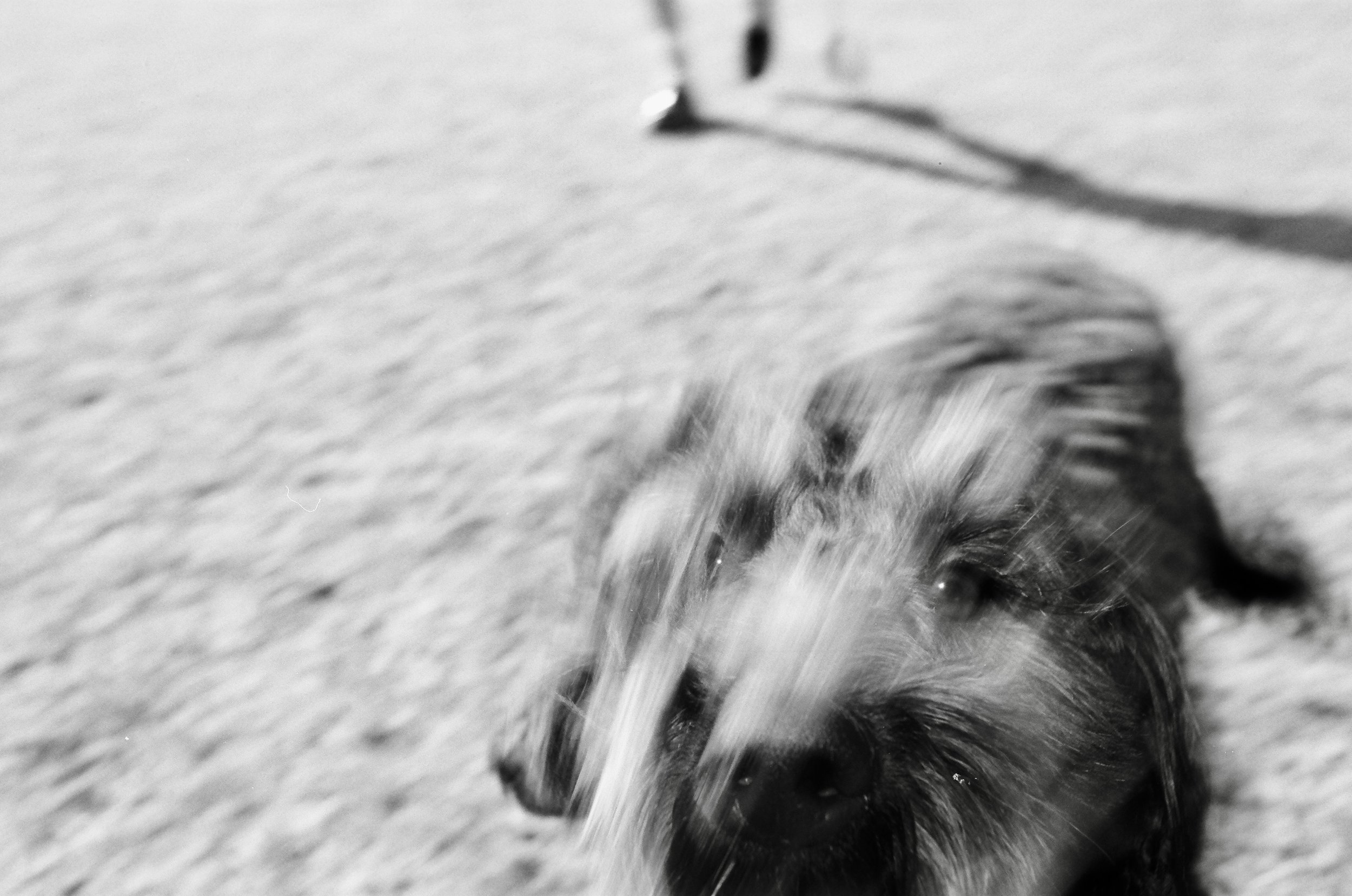 IMG_1710 - Copy.JPEG