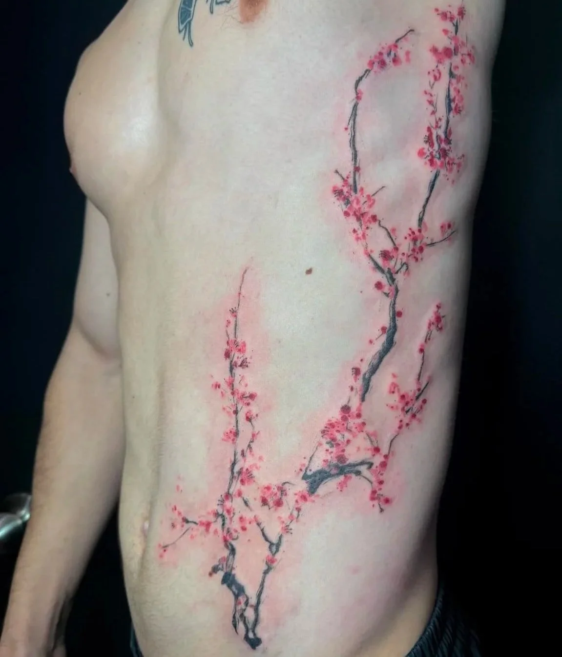 Watercolor Cherry Blossoms