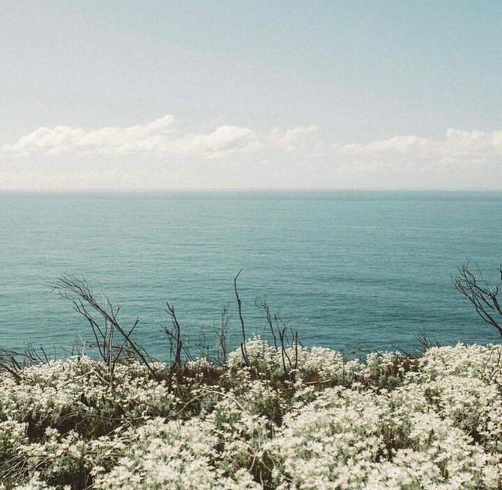 That beautiful coastline 😍

📷 @sarahharris.prints

#centralcoast #lovecentralcoast #centralcoastnsw #lovecentralcoastnsw
