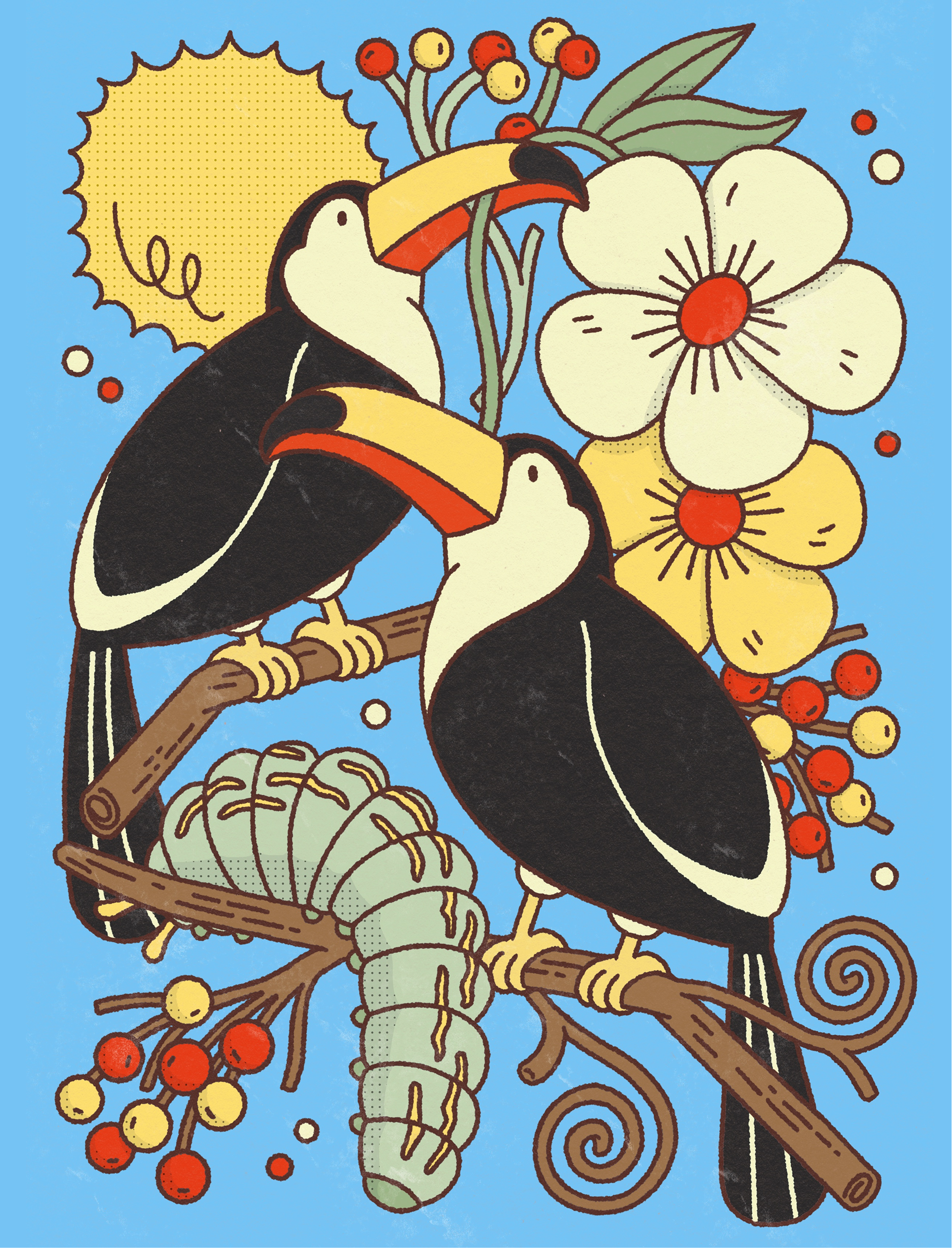 Toucans