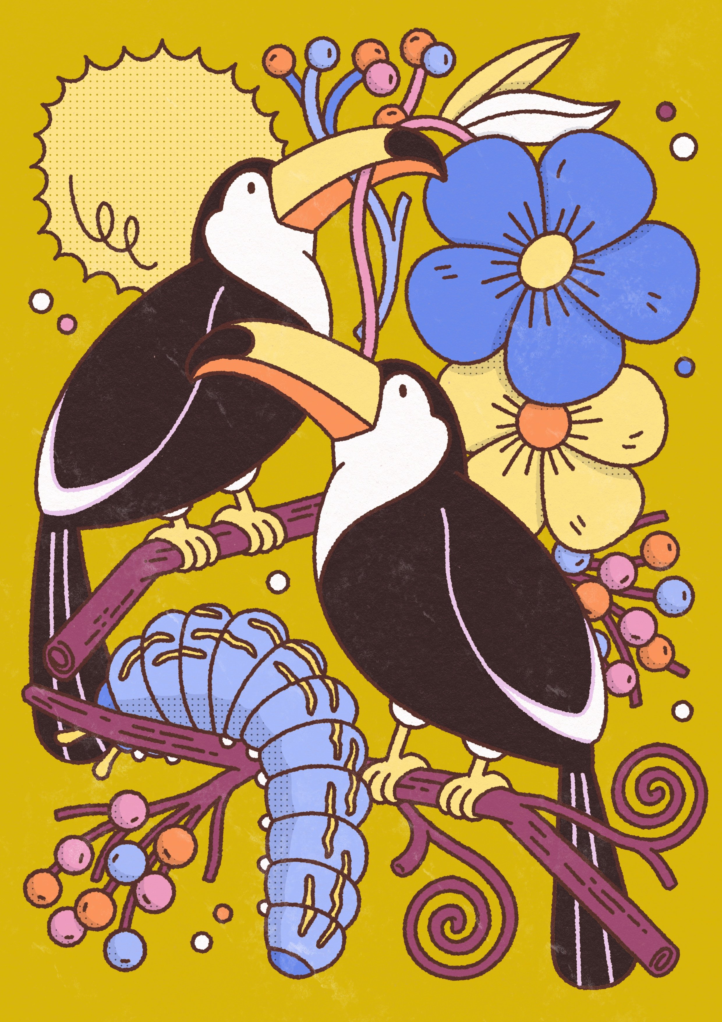 Toucans